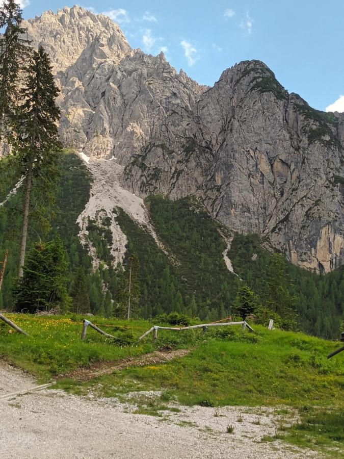Appartamenti Patrizia Сан-П'єтро-ді-Кадоре Екстер'єр фото