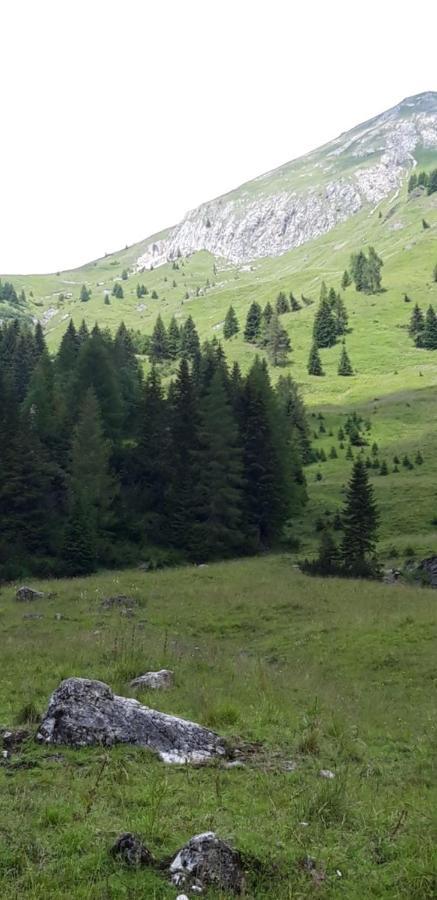 Appartamenti Patrizia Сан-П'єтро-ді-Кадоре Екстер'єр фото