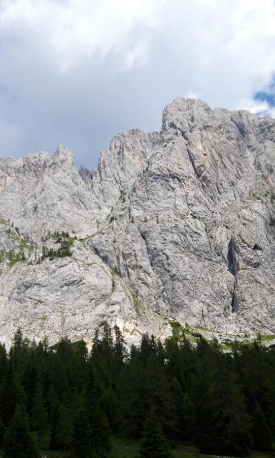 Appartamenti Patrizia Сан-П'єтро-ді-Кадоре Екстер'єр фото