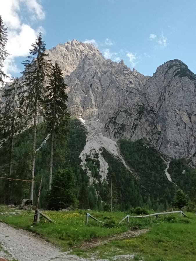 Appartamenti Patrizia Сан-П'єтро-ді-Кадоре Екстер'єр фото