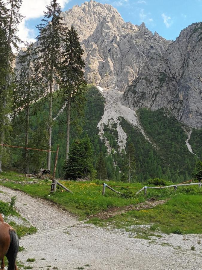 Appartamenti Patrizia Сан-П'єтро-ді-Кадоре Екстер'єр фото