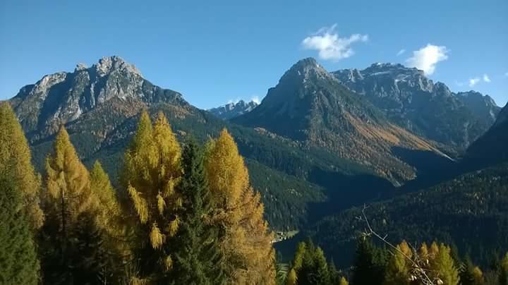 Appartamenti Patrizia Сан-П'єтро-ді-Кадоре Номер фото